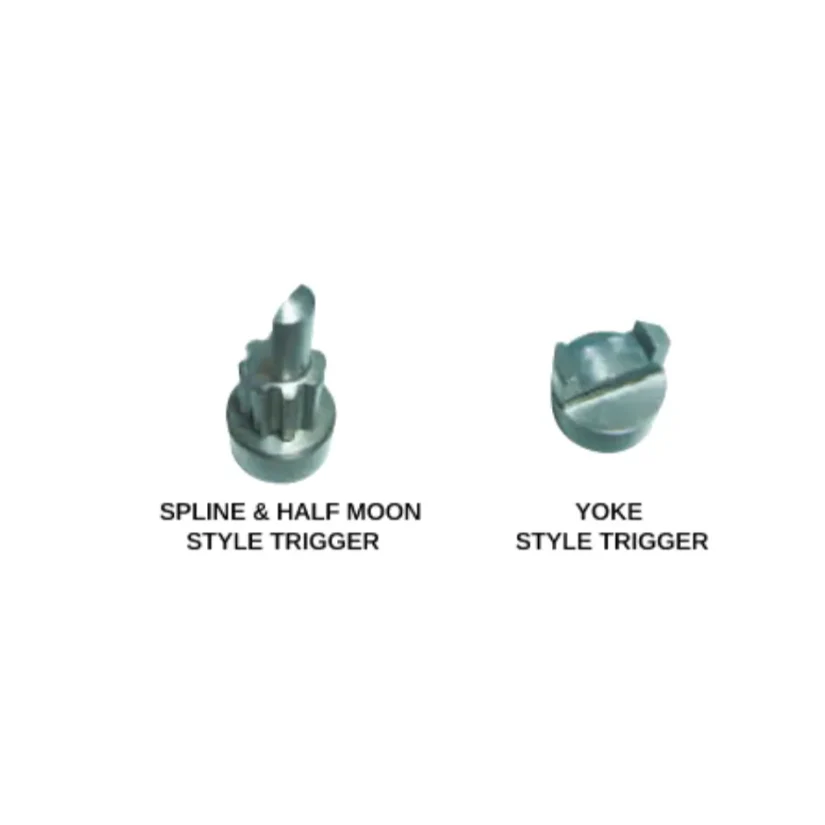 Kelford Cams 264/272 Street/Drift Cams Nissan RB25DET NEO R34 - Image 3